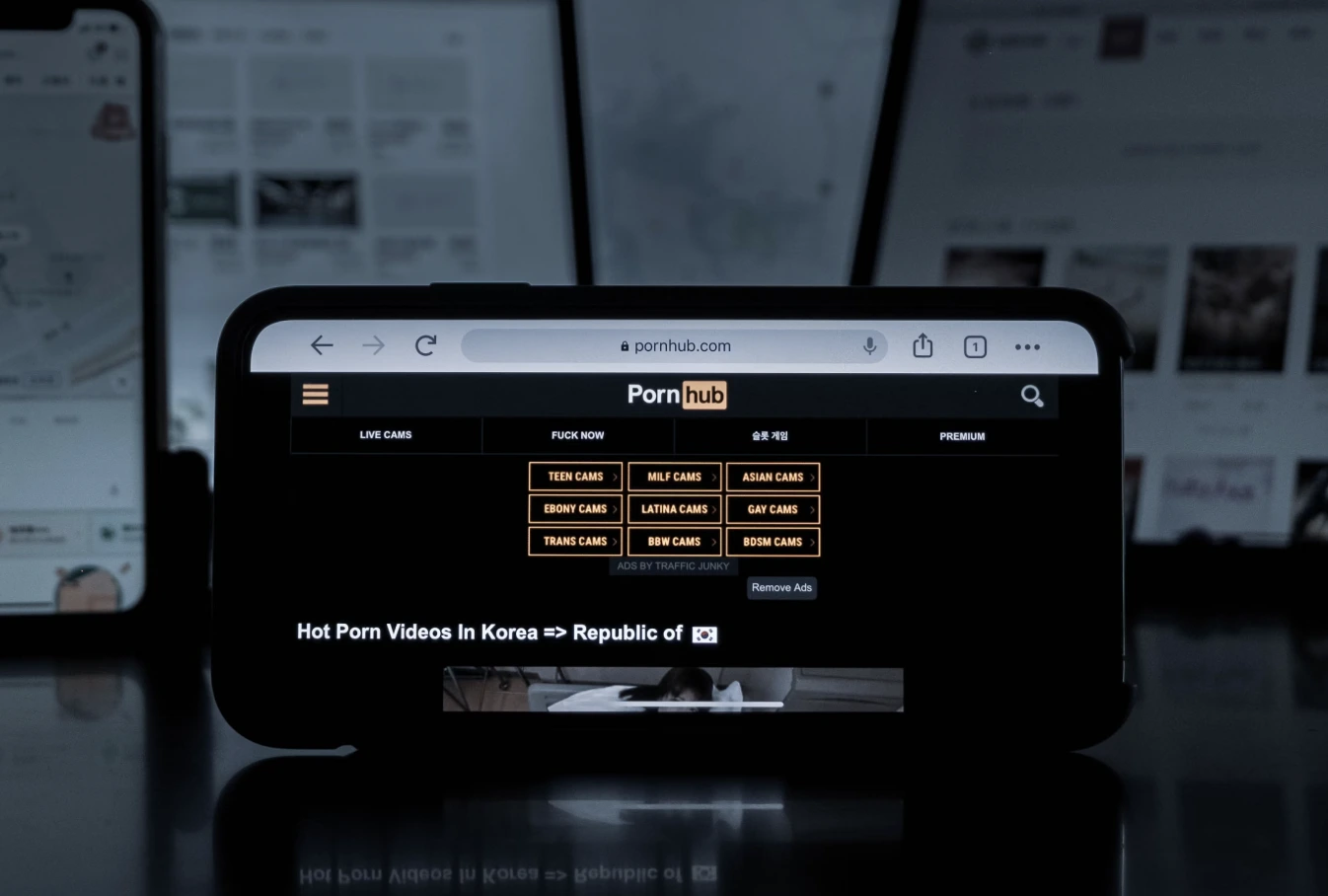 Pornhub Blochează Accesul &icirc;n 17 State din Cauza Riscurilor de Confidențialitate
