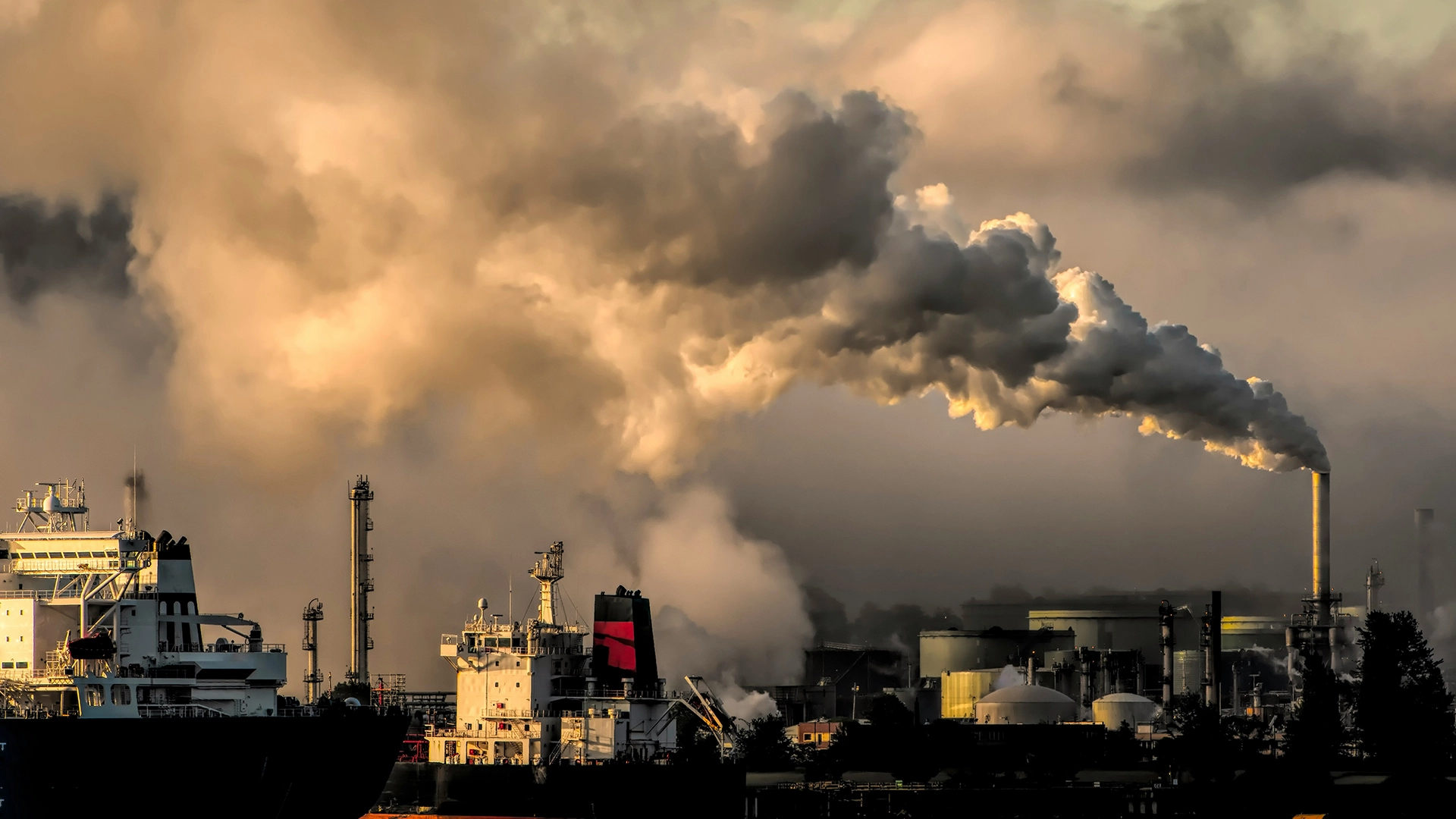 ONU Spune că Emisiile de Carbon ale Giganților Tehnologici au Crescut cu 150% &icirc;n Ultimele 3 Ani &icirc;n Contextul Boom-ului AI